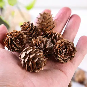 20buc Naturale, Plante Uscate Con de Pin Artificial, Flori Pentru Casa Decor de Crăciun DIY Coronita Ghirlanda Decor de Nunta en-Gros