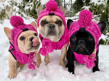 Iarna Cald Câine de Companie Pălărie Tricotate Windproof Cat de Crăciun Pălărie Mici și Mijlocii Câine Chihuahua Bulldog francez de Companie articole pentru acoperit capul