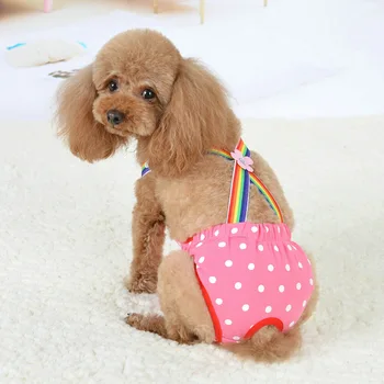 Nou Animal De Companie Câine Pantaloni Scurți Sanitare Fiziologice Pantaloni Menstrual Chilotei Salopete Lavabil Teddy Lenjerie Costum De Câine